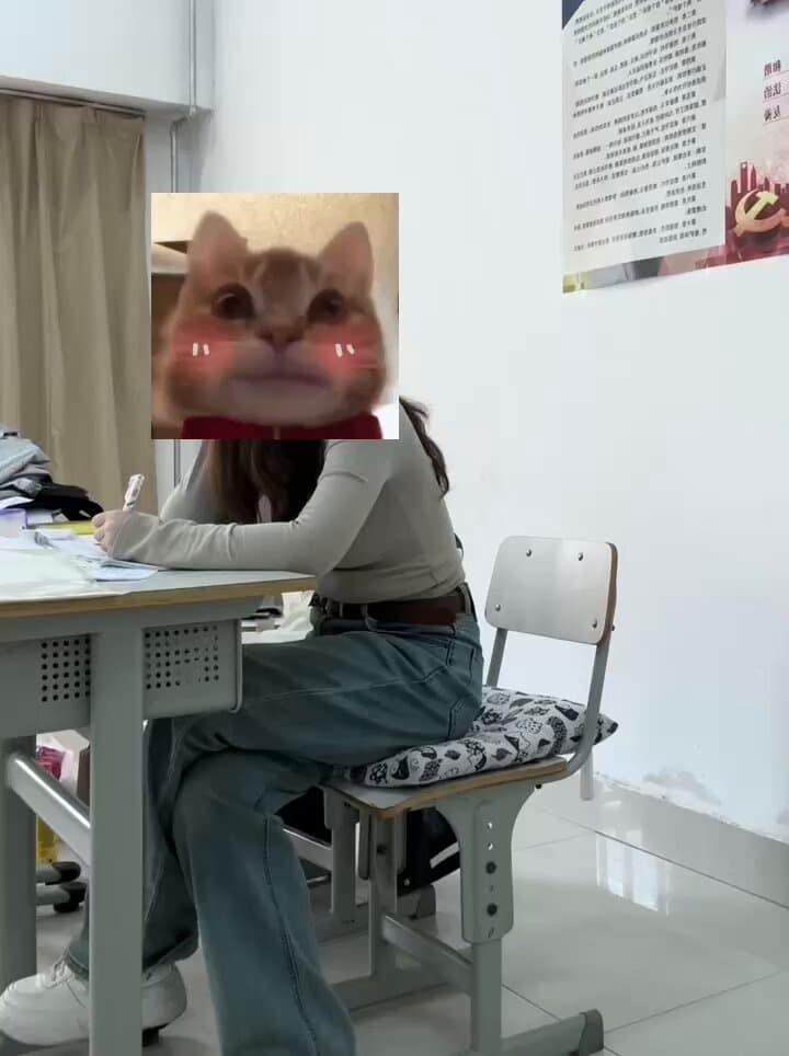 Media 0